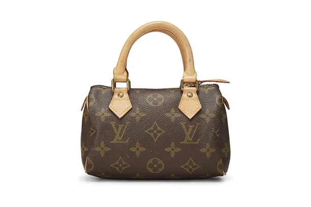 Louis Vuitton Speedy